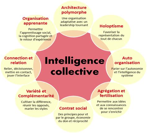 La dynamique des équipes et l'intelligence collective